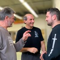 Systema Greenville ico