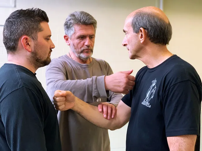 Systema Greenville Picture 2