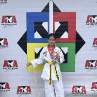 Black Belt Attitude School (Fairview) ico