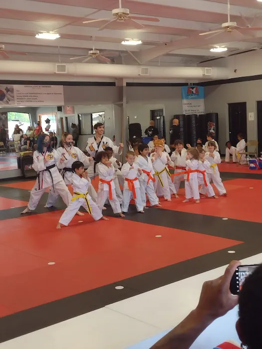 Black Belt Attitude School (Fairview) Picture 4