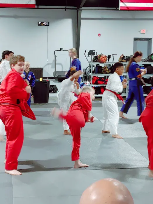 Upstate Karate Family Martial Arts Center Picture 10