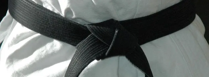 Danny Antoine's Martial Arts & Fitness Academy Picture 2