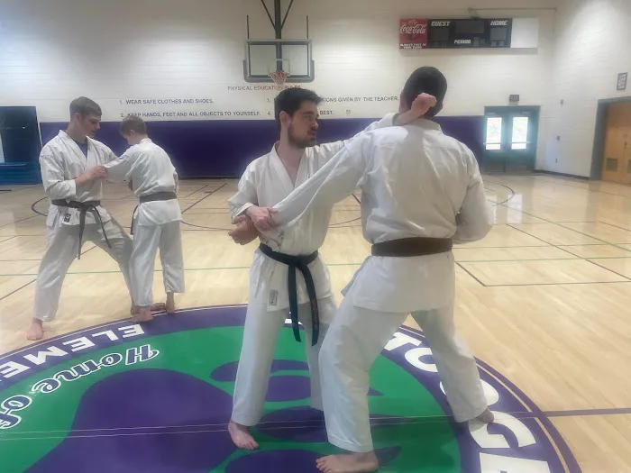 Adaptive Karate Academy Picture 5
