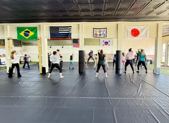Carolina Martial Arts Academy Picture 1