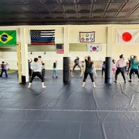 Carolina Martial Arts Academy ico