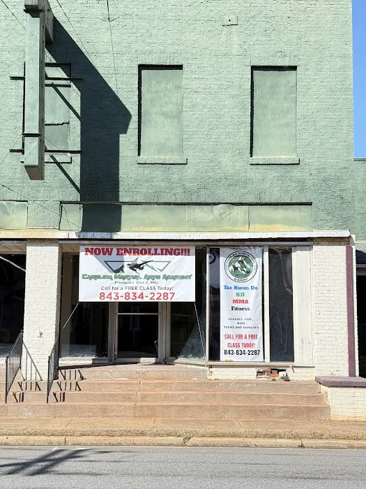 Carolina Martial Arts Academy Picture 3