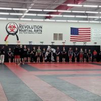 Revolution Martial Arts ico