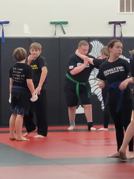 Revolution Martial Arts Picture 6