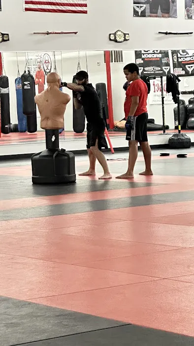 Revolution Martial Arts Picture 8
