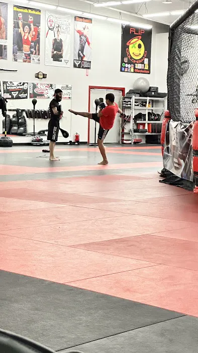 Revolution Martial Arts Picture 10