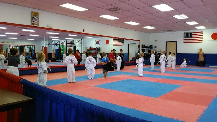 Southern Martial Arts Picture 2