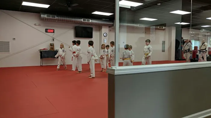 Scota Karate Academy Picture 1