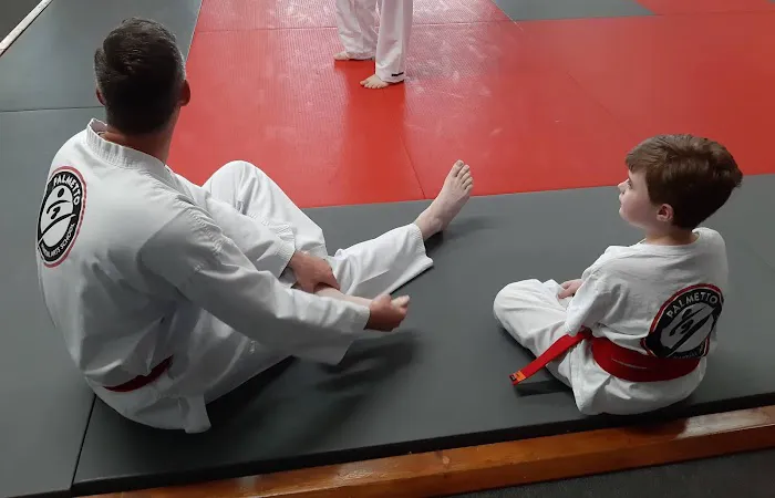 Palmetto Martial Arts School Picture 4