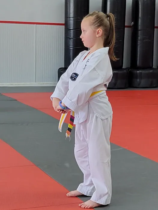 Palmetto Martial Arts School Picture 6