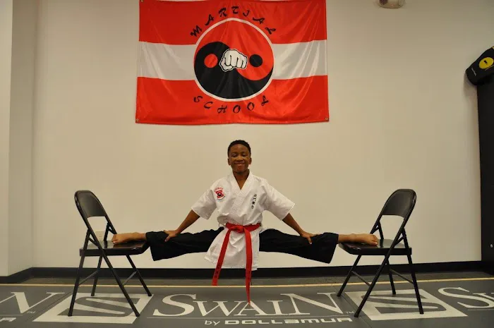 Martial School Combative Concepts Picture 9