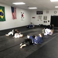 Absolute Martial Arts - Brazilian Jiu Jitsu and Hybrid Taekwondo ico