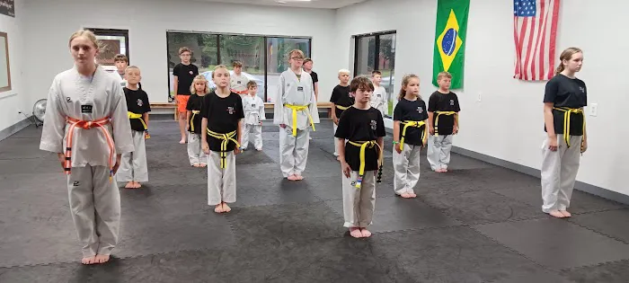 Absolute Martial Arts - Brazilian Jiu Jitsu and Hybrid Taekwondo Picture 5