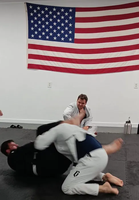 Absolute Martial Arts - Brazilian Jiu Jitsu and Hybrid Taekwondo Picture 7