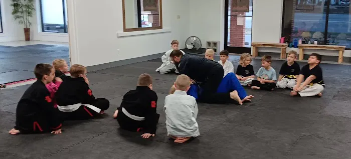 Absolute Martial Arts - Brazilian Jiu Jitsu and Hybrid Taekwondo Picture 8