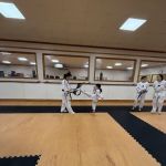 E S Moon's Martial Arts Institute