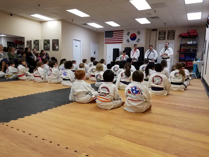 Stephen Strouss TaeKwonDo Knoxville Picture 1