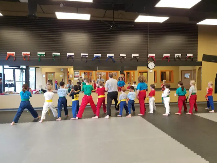 Stephen Strouss TaeKwonDo Knoxville Picture 2