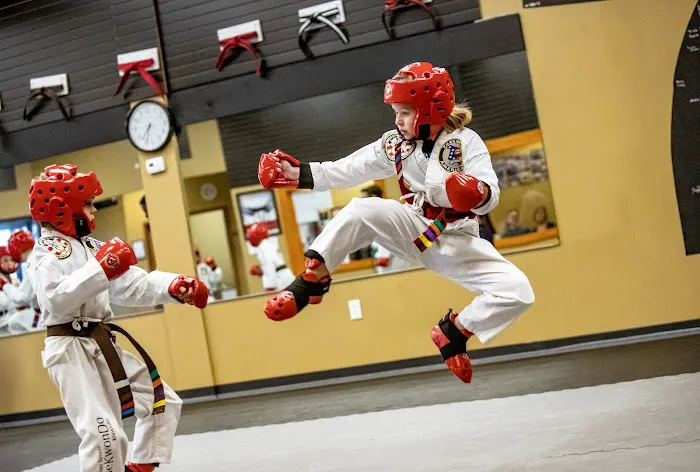 Stephen Strouss TaeKwonDo Knoxville Picture 9