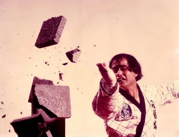 Tennessee Taekwondo Judo College (TTJC) Picture 1