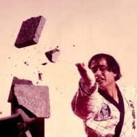 Tennessee Taekwondo Judo College (TTJC) ico