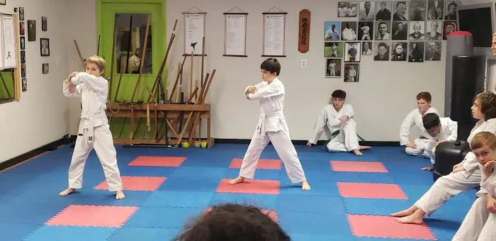 Hobbs Family Karate Picture 1