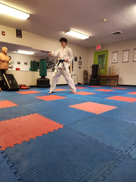 Hobbs Family Karate Picture 6