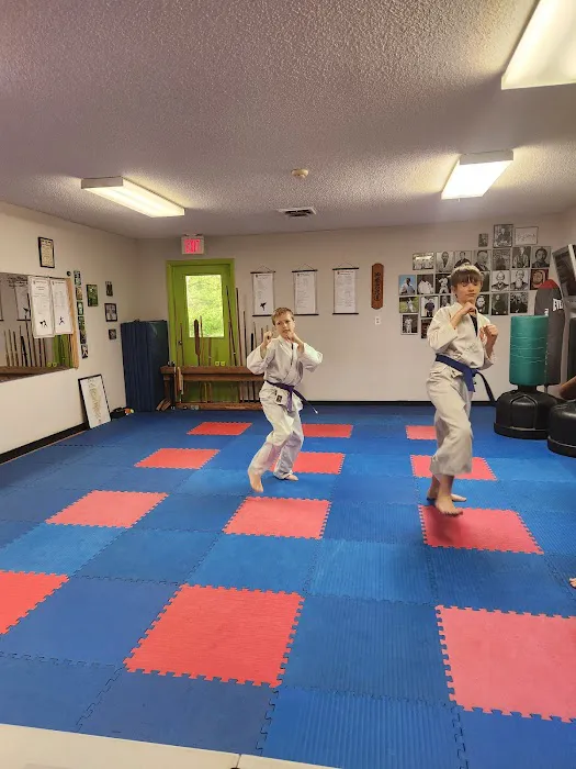 Hobbs Family Karate Picture 7