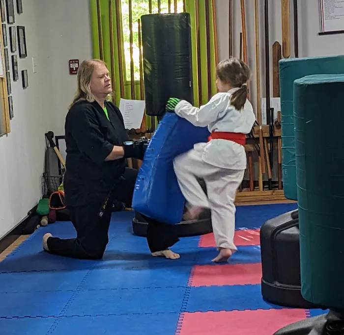 Hobbs Family Karate Picture 8