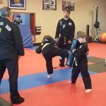 Clemson Martial Arts