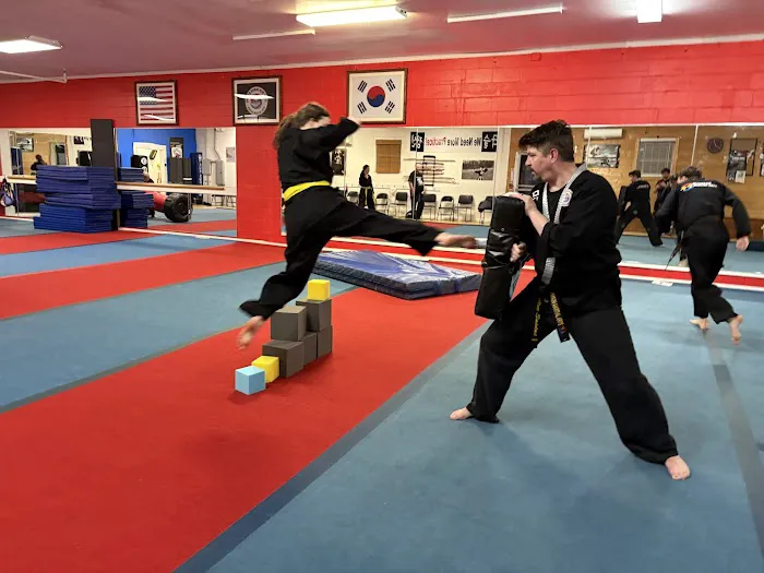 Clemson Martial Arts Picture 4