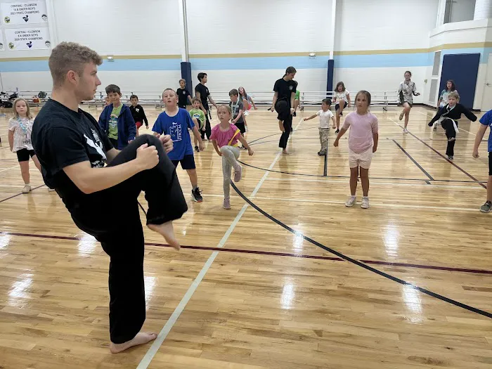 Clemson Martial Arts Picture 6