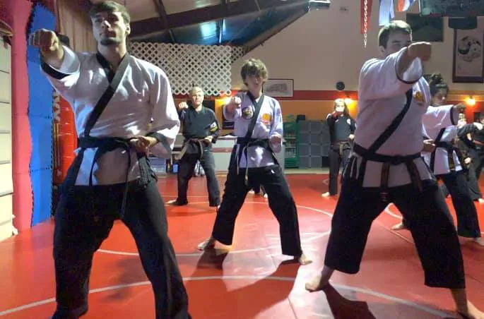 Georgia Hapkido Academy Picture 9