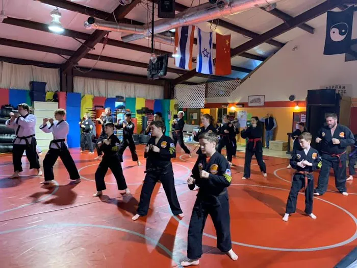 Georgia Hapkido Academy Picture 7