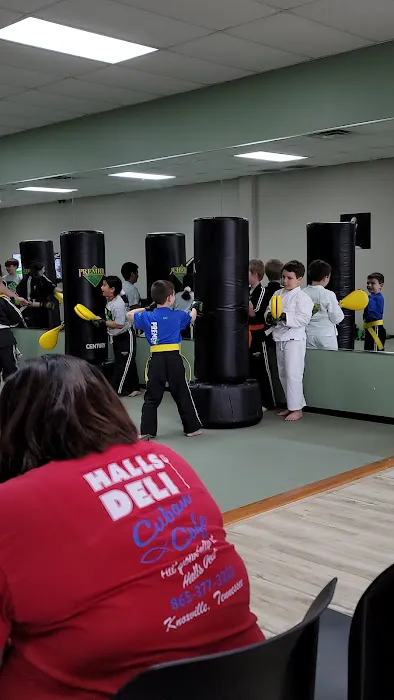 Premier Martial Arts North Knoxville Picture 3