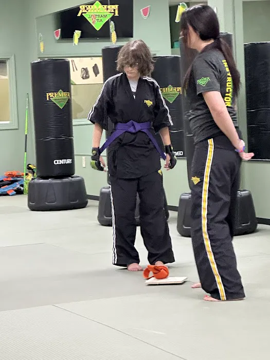 Premier Martial Arts North Knoxville Picture 4