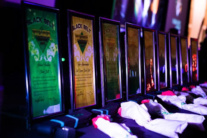Premier Martial Arts West Town Picture 1