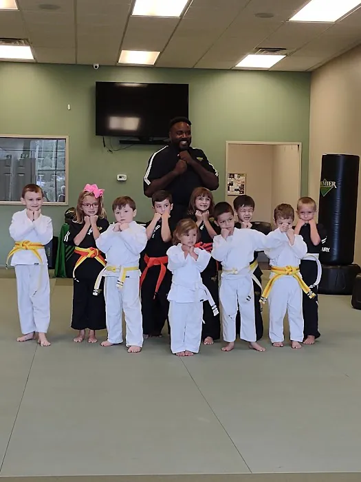 Premier Martial Arts West Town Picture 4
