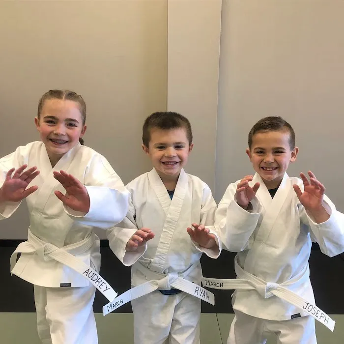 Premier Martial Arts West Town Picture 7