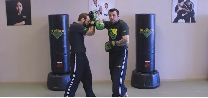 Premier Martial Arts West Town Picture 5