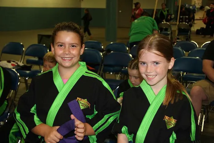 Premier Martial Arts West Town Picture 8