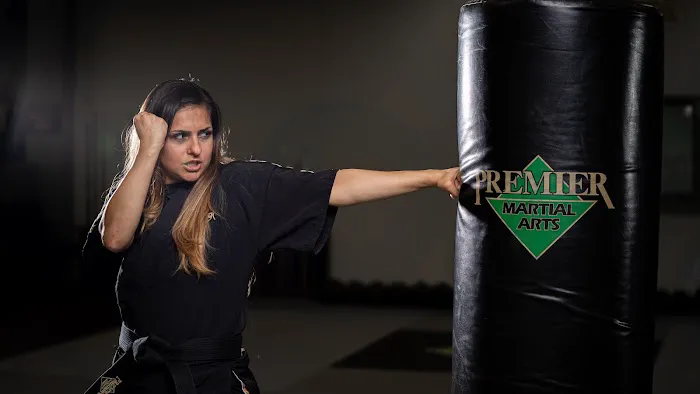 Premier Martial Arts West Town Picture 10
