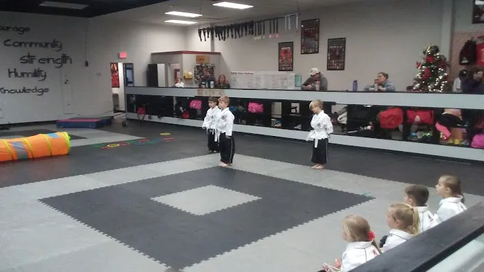 Tiger-Rock Martial Arts of West Knoxville Picture 1