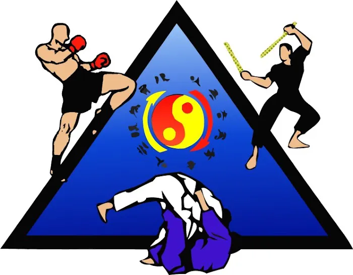 Progressive Martial Arts Academy (PMA) Knoxville Picture 3