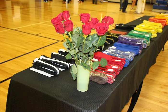 Knoxville Academy of Martial Arts Picture 3