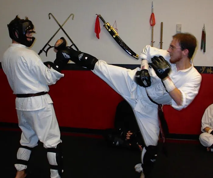 Chinese Martial Arts Center LLC Picture 2